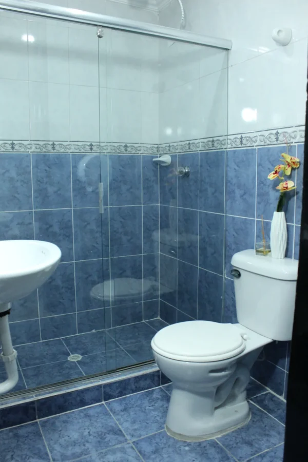 Windsor Luxury - Image 6