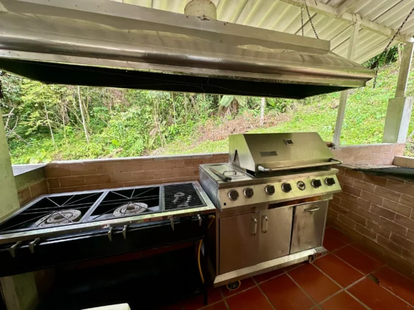 Finca completa - Image 6