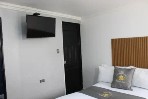 Windsor Luxury