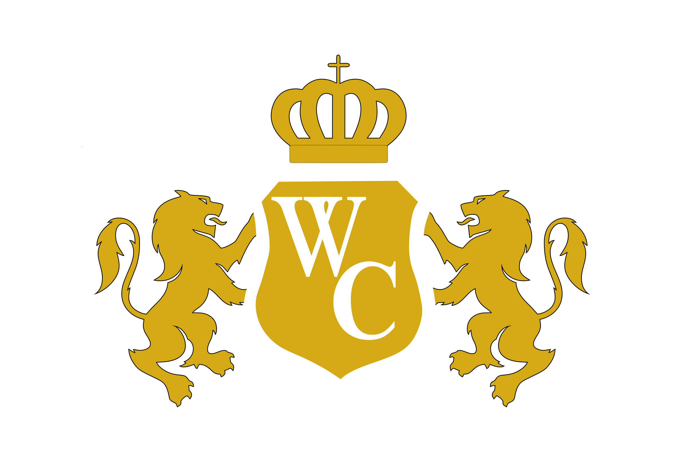 windsorcastlecolombia.com